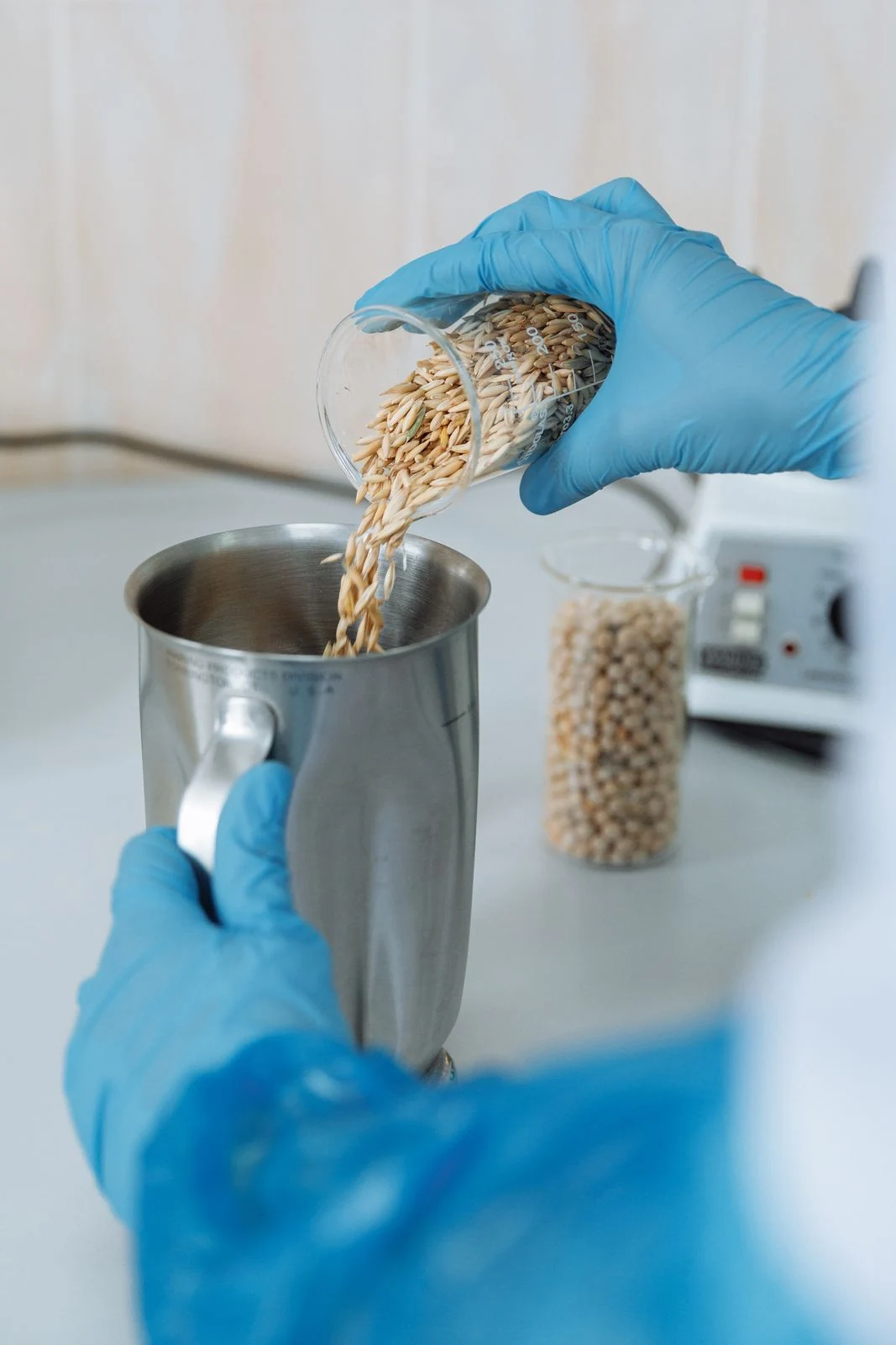 Gloved hands measuring grains into a stainless-steel laboratory container.